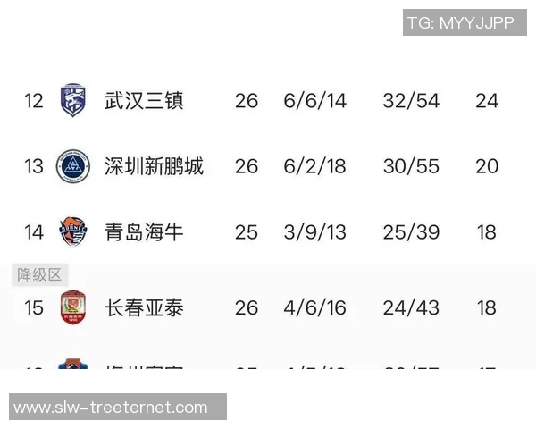 深圳篮球队在全国锦标赛中以67分稳居积分榜首位展现强劲实力