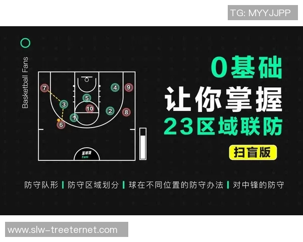 深圳排球队区域防守策略解析与战术创新探讨