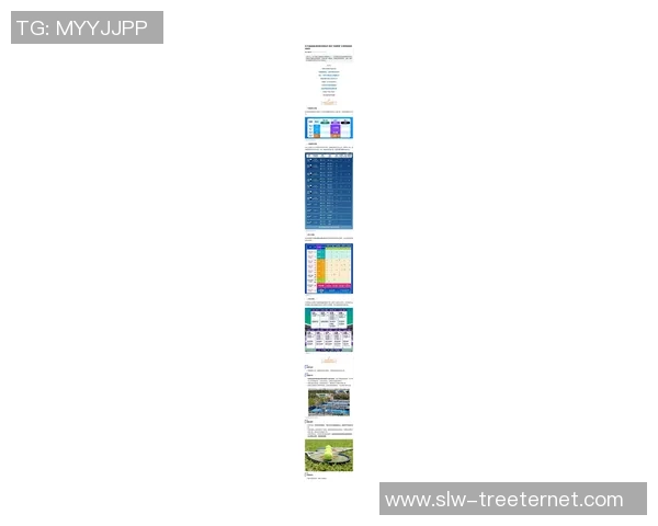 上海网球队在邀请赛中的技术表现分析与评价