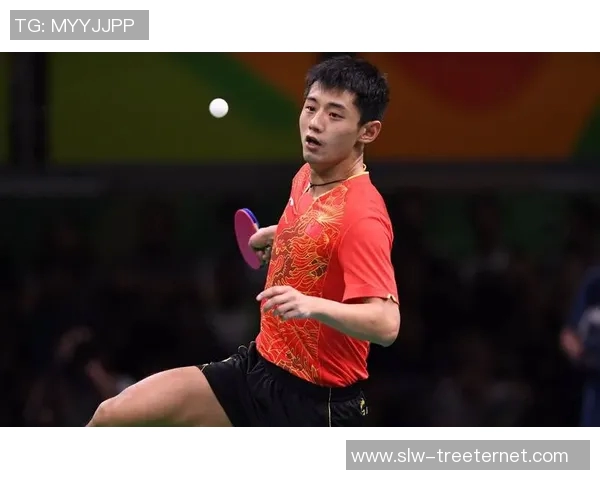 乒乓球传奇揭秘：走进上海乒乓球队的训练与荣耀之路