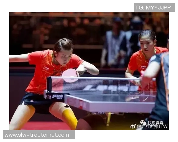 乒乓球深度解析西安乒乓球队如何实现整体压制与战术优势