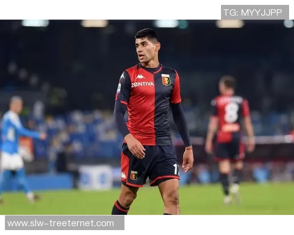 全球足球明星全名及其精彩瞬间图片汇总大揭秘