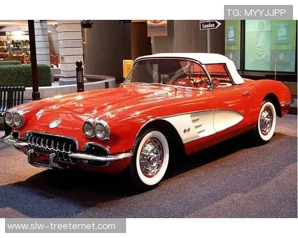 巴西足球历史上的璀璨明珠探寻最早的足球明星与传奇故事