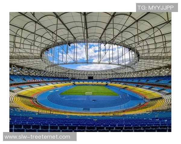 成都乒乓球队中路突破革新之路探索与未来发展展望