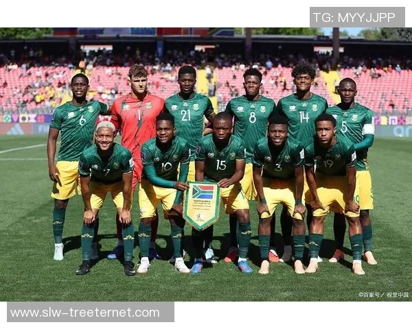 沙特足球明星的崛起与成就探索，谁是最闪耀的球场之星