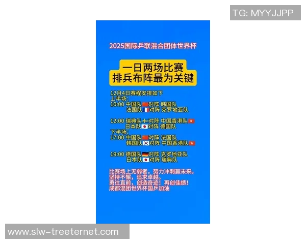 成都排球队在杯赛中的强劲表现与战术分析