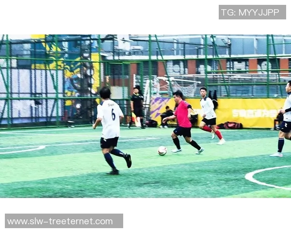 杭州排球队的拼搏之路与城市联赛的辉煌瞬间