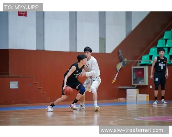 西安篮球队在联赛中的实力分析与表现评估